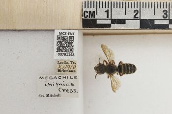 Media type: image;   Entomology 791148 Aspect: Labels